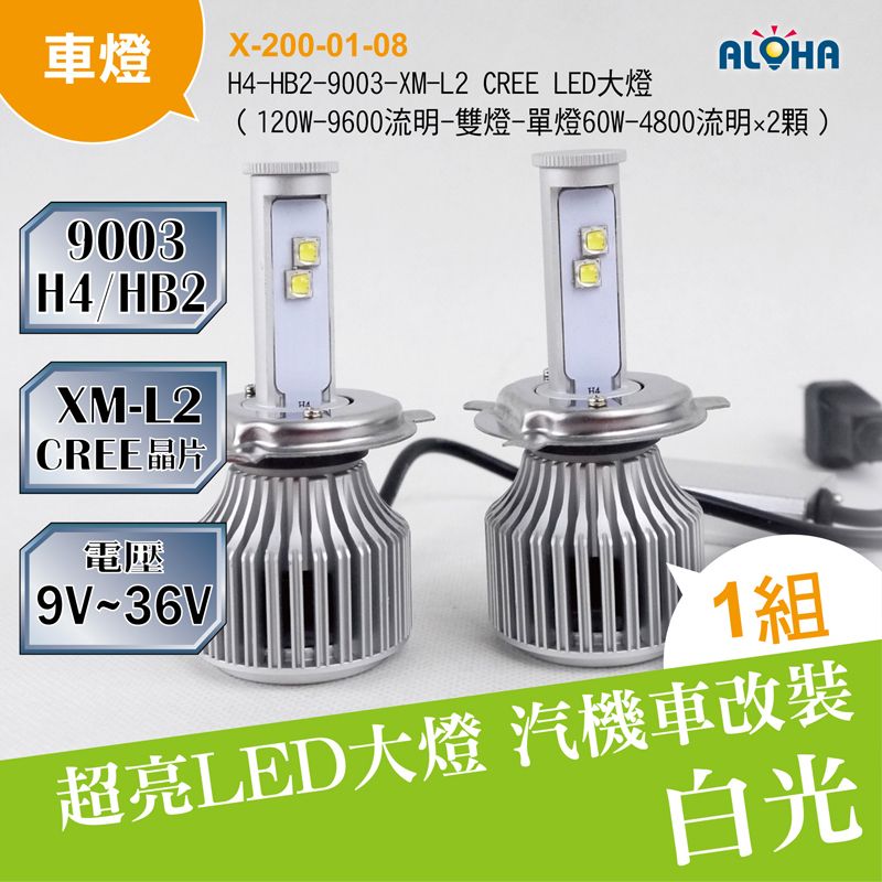 H4/HB2/9003-XM-L2 CREE LED大燈